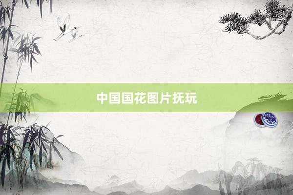 中国国花图片抚玩